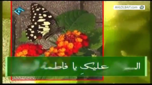 نماهنگ تصویری: ولادت حضرت زهرا (س)/ تو کوکبی یا کهکشان تو منظری یا بی کران