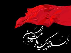 حضرت فاطمه (س) و انتقام خون حسین (ع)