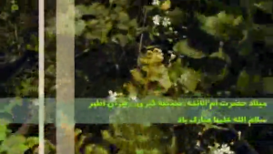 نماهنگ تصویری: حضرت مهتاب/ ولادت حضرت زهرا (س)‌ و روز مادر